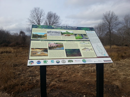 Edgewood Park Ecology Sign