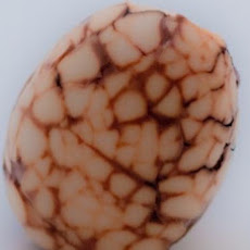 Tea Marbled Eggs