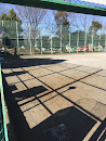 上沼田公園キャッチボール場 Kaminumata park play catch ground