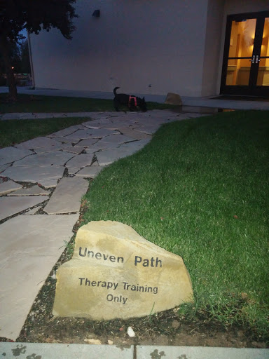 Therapy Training Path