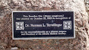 Dr. Norman L. Terwillegar Memorial Tree