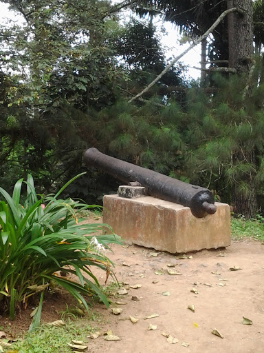 Old Cannon In Bukit Tinggi Zoo