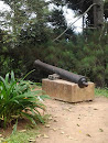 Old Cannon In Bukit Tinggi Zoo