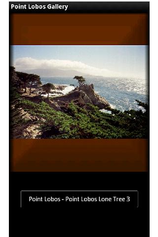 Point Lobos Gallery