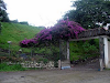 Finca En Vilcabamba