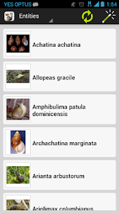How to download Terrestrial Mollusc Key 1.0.5 apk for laptop