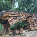 Petrified Tree Shelter at Evolution Garden