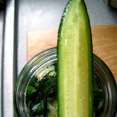 24 Hour Dill Pickles