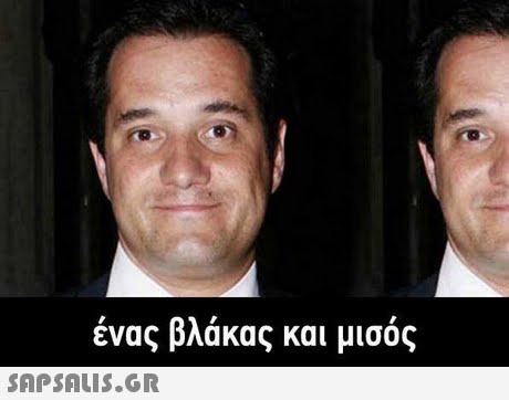 ένας βλάκας και μισός 