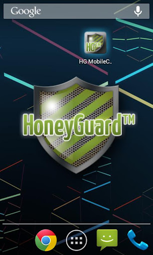 HG Mobile Client