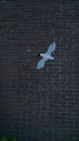 Bird on Wall