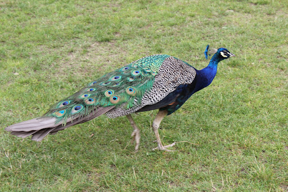 Spotting Image 1