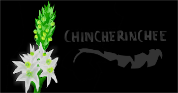 Chincherinchee