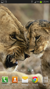 How to install Feline Live Wallpaper HD patch 1.1 apk for laptop