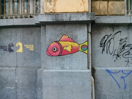 Piranha Colorida