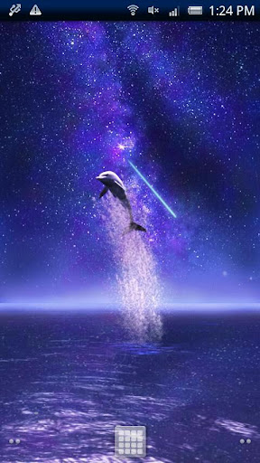 Dolphin Galaxy