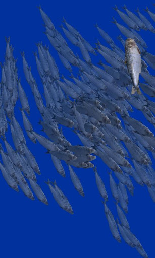 Fish swarm Live Wallpaper FREE