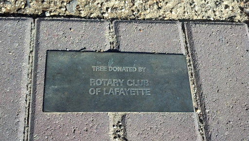 Rotary Club Lafayette Tree