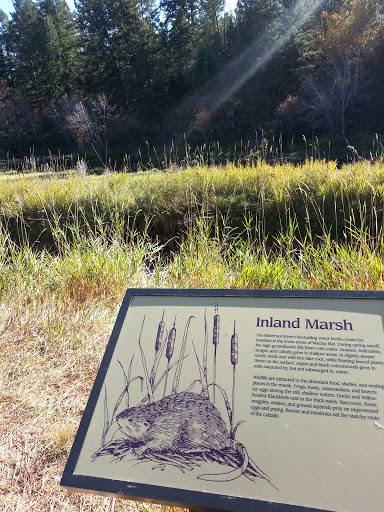 Inland Marsh