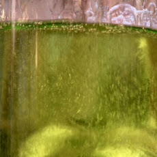 Green Apple Martini