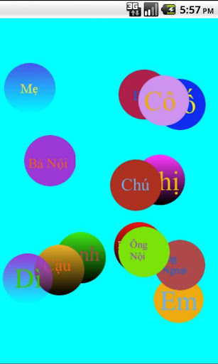 Viet nam Language