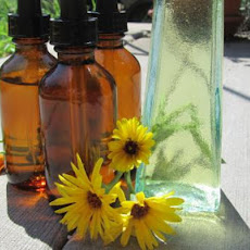 Calendula Tincture Topical and Internal