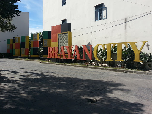 Brayan City