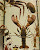 User profile picture thumbnail