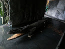 Giant Underground Alligator