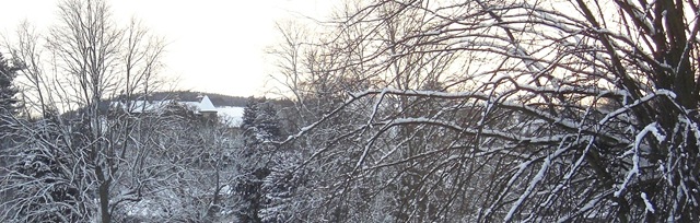 [dilkusha and winter trees[5].jpg]