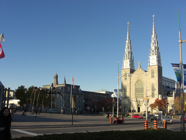 [ottawa.spider, notre dame[3].jpg]