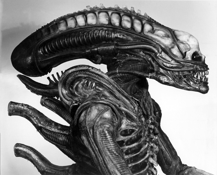 Alien Do Xenomorphs Have Eyes And Nose If Not How Do They Sense