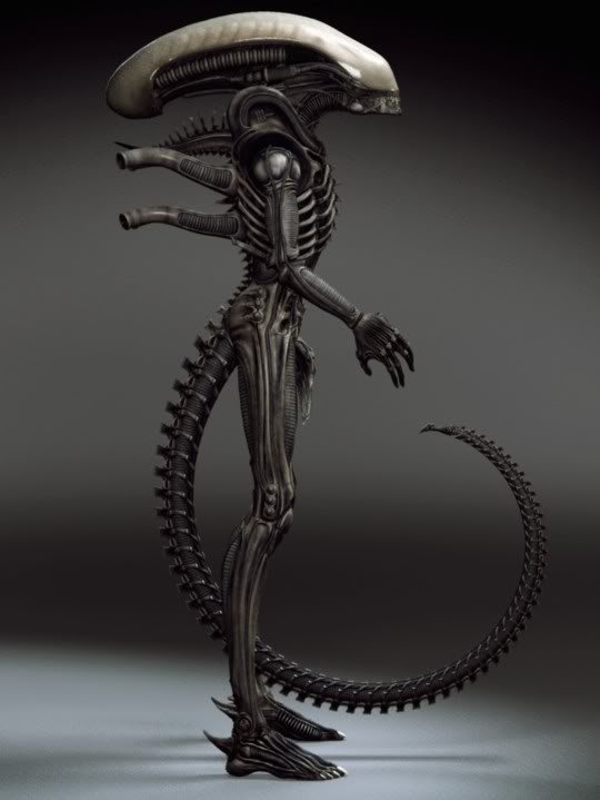 And even Xenomorphs have quite large heads for their frames, anyway. 