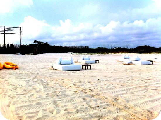 rosewood beach loungers