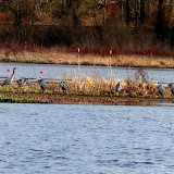  &ndash; Today on the Lake March 4 2010