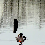  &ndash; Today on the Lake March 1 2010