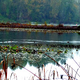  &ndash; Today on the Lake Oct 27 2009