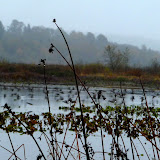  &ndash; Today on the Lake Oct 27 2009
