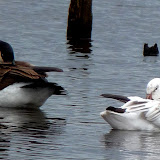  &ndash; Today on the Lake March 13 2010