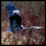  &ndash; Today on the Lake March 10 2010