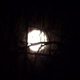 &ndash; Today on the Lake Nov 30 2009 Moon