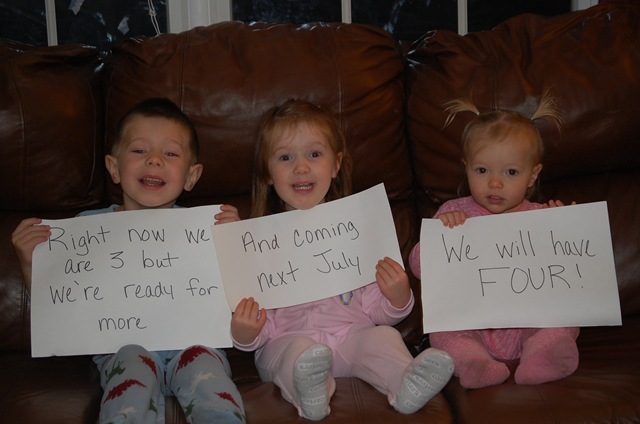 [DSC_0379[2].jpg]