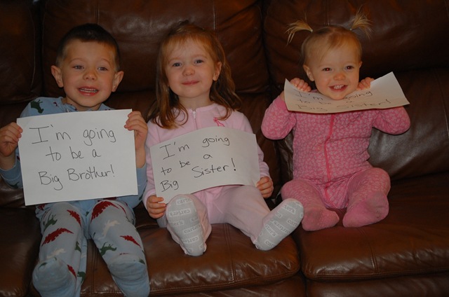 [DSC_0385[2].jpg]