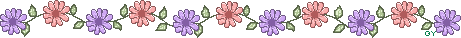 [cutecolorspixieline1[6].gif]