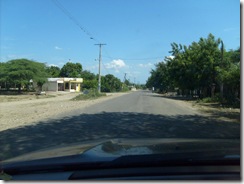 Picture 254