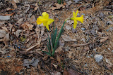 DSC_0011.JPG