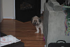 New Pictures of Teddy