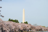 DSC_0044.JPG