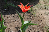 DSC_0025.JPG
