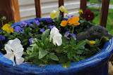 DSC_0057.JPG